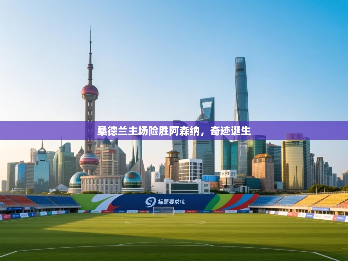 桑德兰主场险胜阿森纳,奇迹诞生 第2张