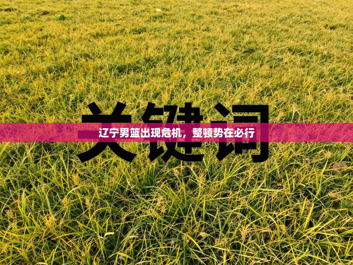 辽宁男篮出现危机，整顿势在必行  第1张