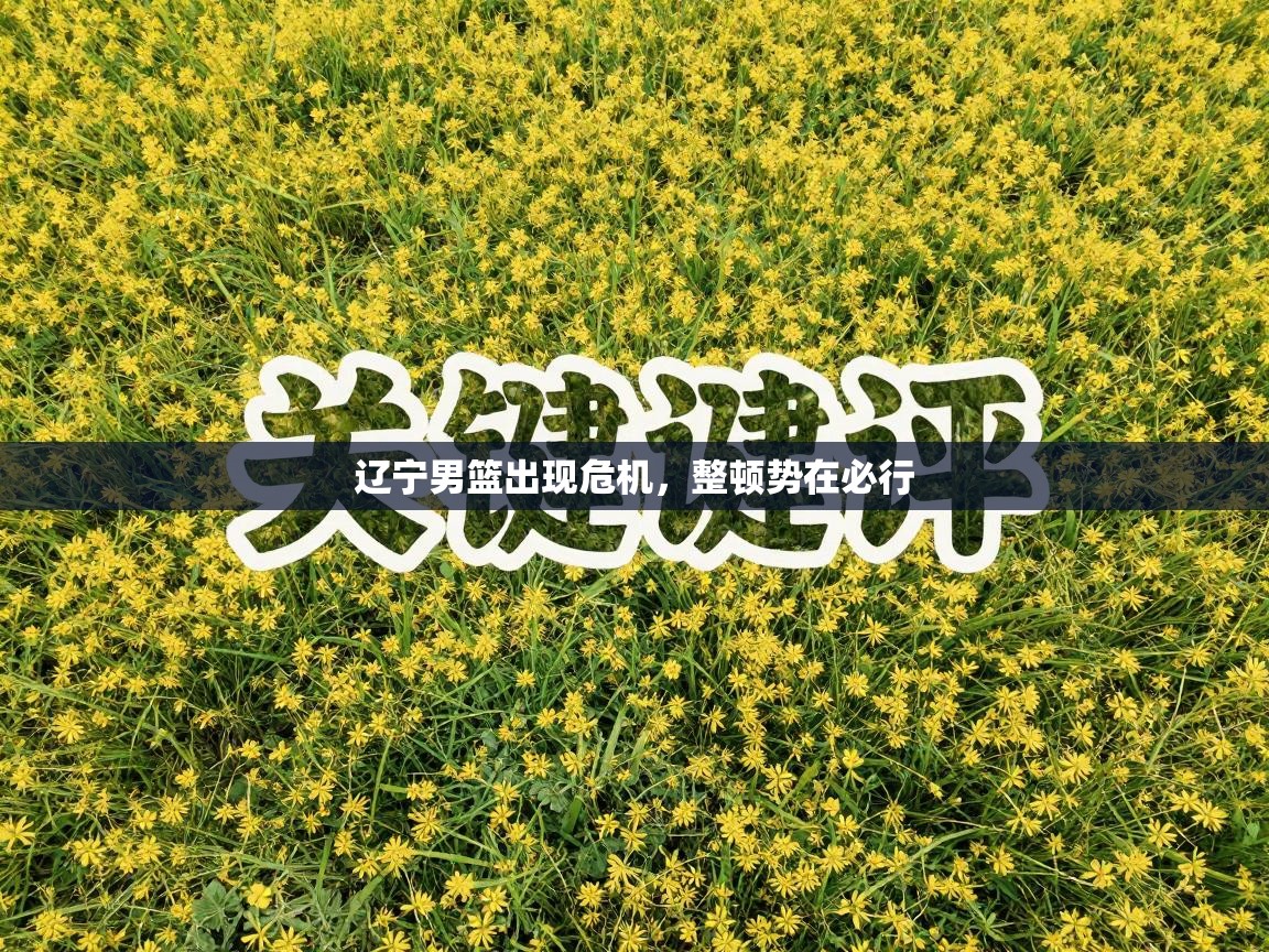 辽宁男篮出现危机，整顿势在必行  第2张