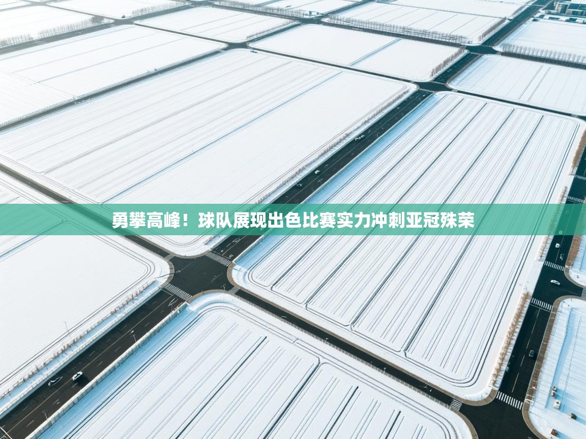 勇攀高峰!球队展现出色比赛实力冲刺亚冠殊荣 第1张