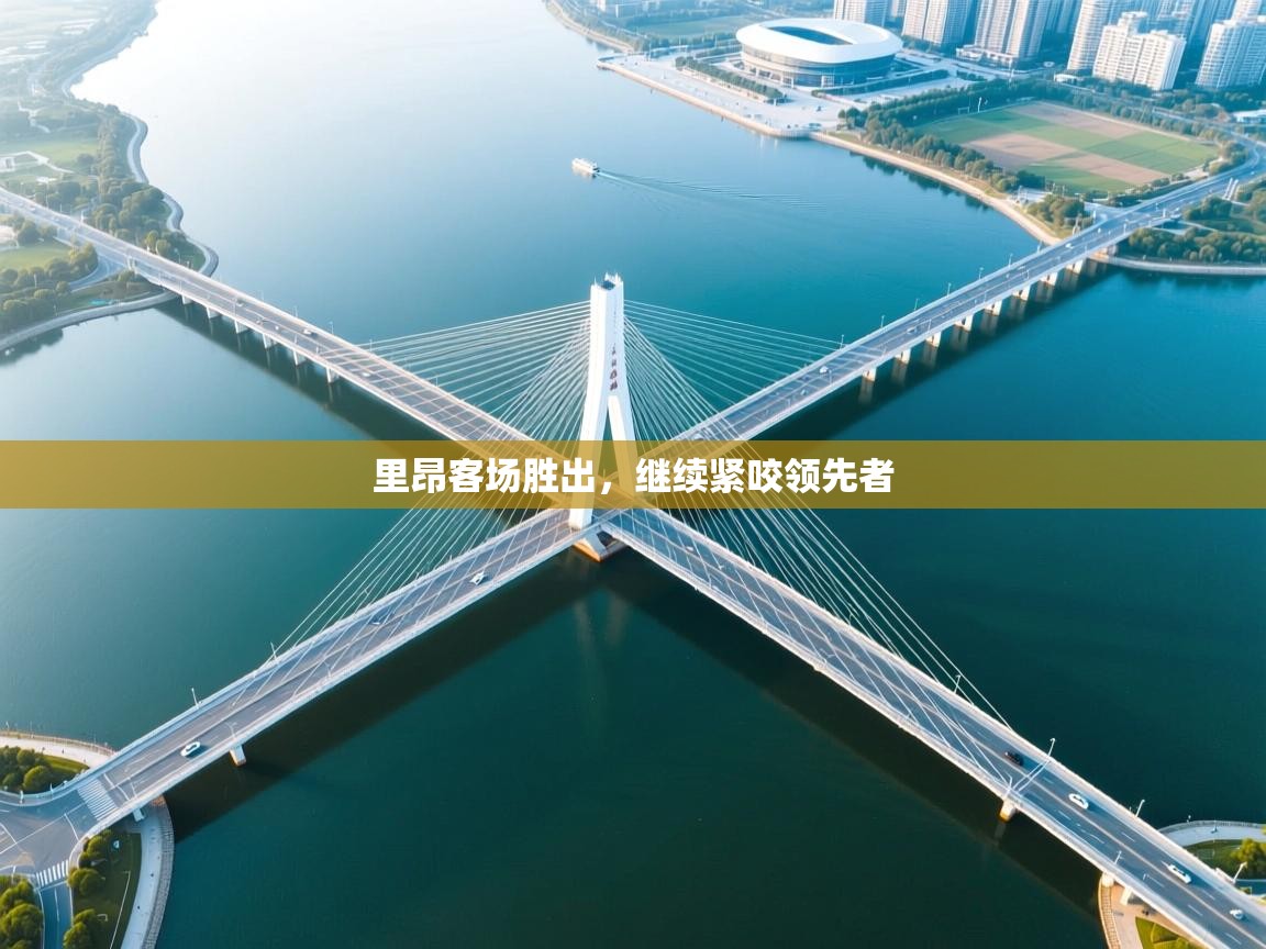 里昂客场胜出，继续紧咬领先者  第1张