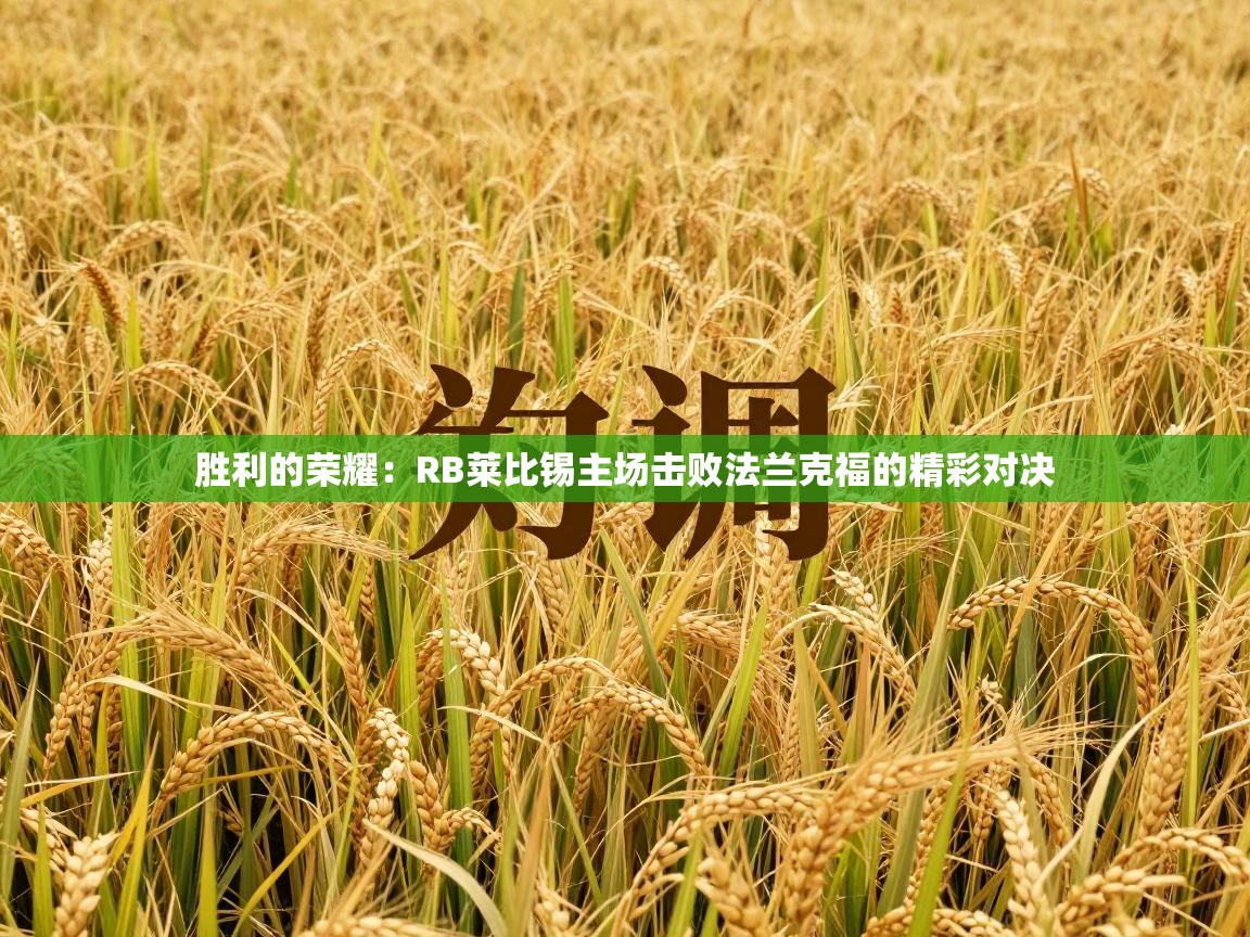 胜利的荣耀:RB莱比锡主场击败法兰克福的精彩对决 第1张